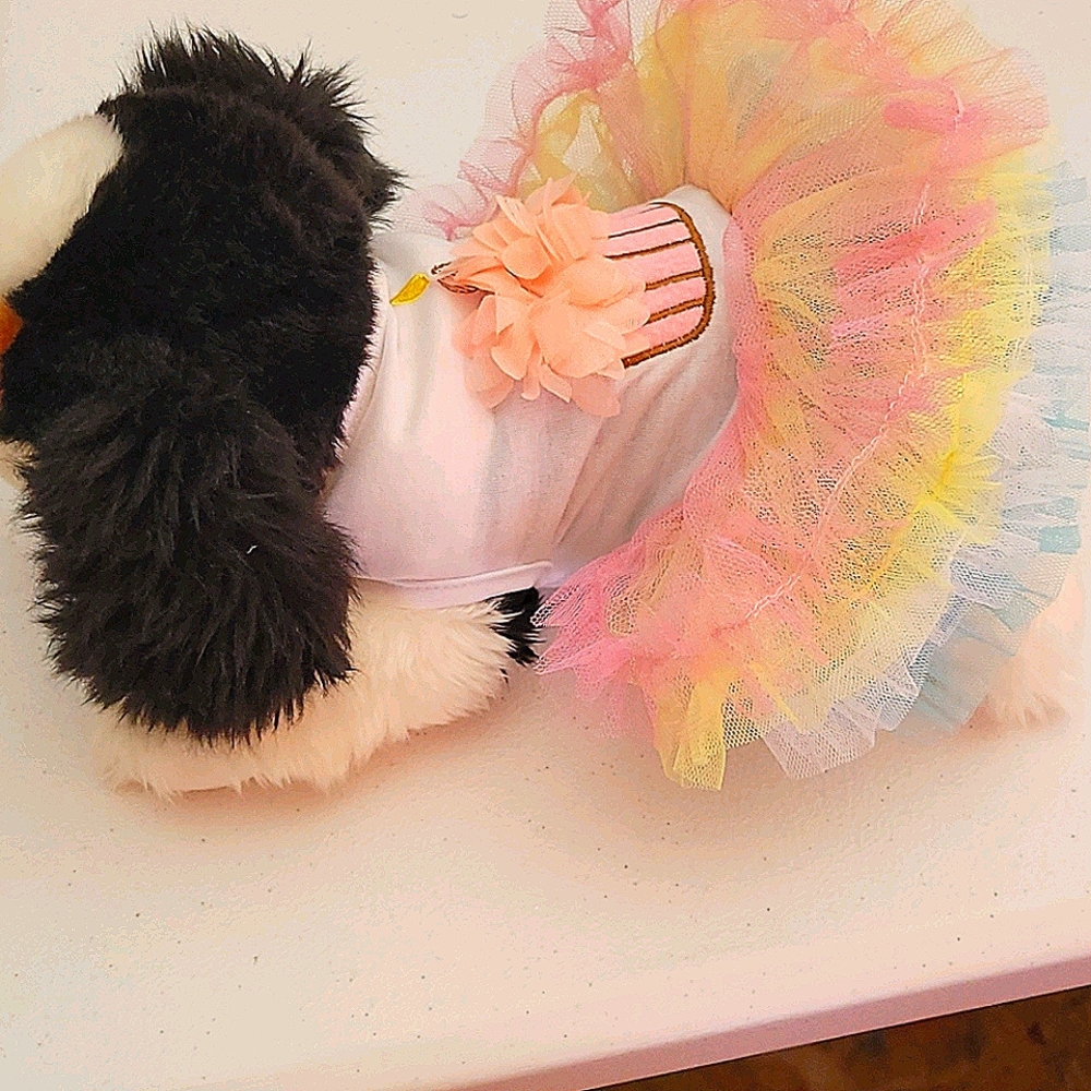 Dress for Pet